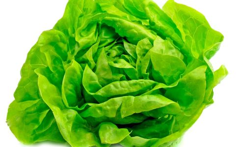 Benefits of Lettuce