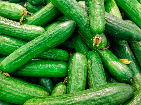 Cucumber seasonal vegetables