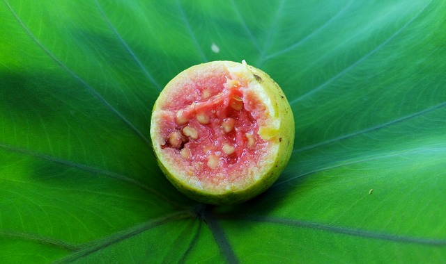 guava-tropical-fruit